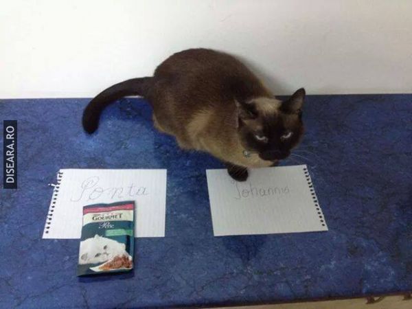 I vote too!