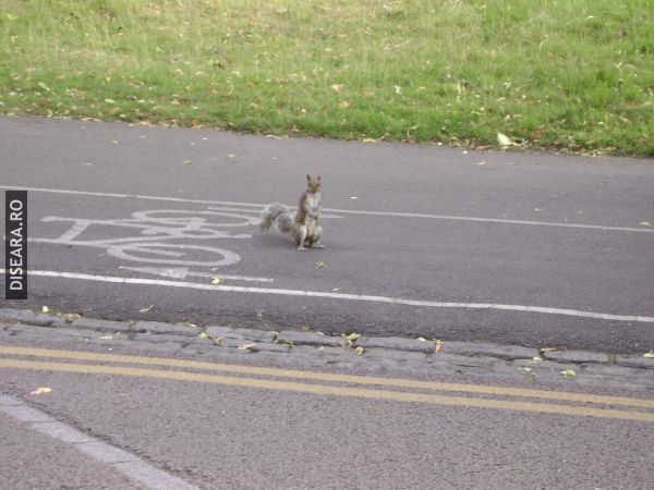 Have you seen my bike?