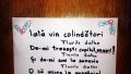 Cu colindu`...
