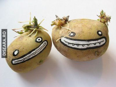 Smile, the life is beautiful!