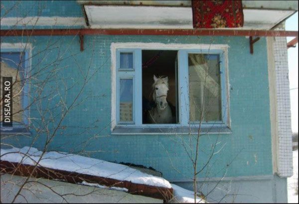 Snowing outside