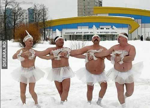 Swanlake