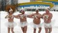 Swanlake