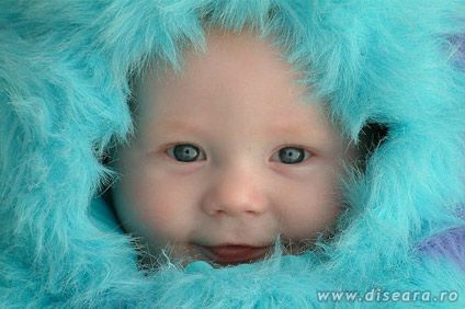 Display this, it is cute...