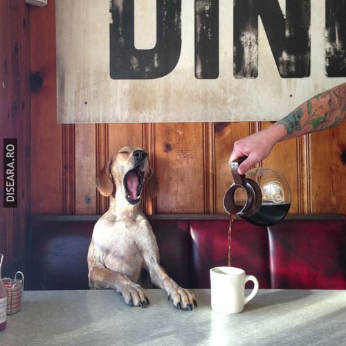 I waaaaaaant coooffffffeeeee!