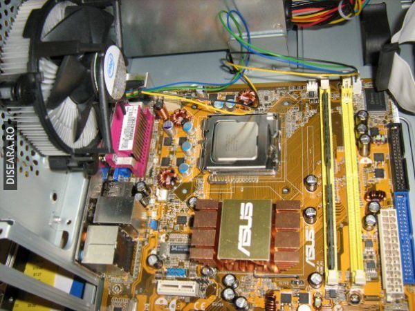Computer expert...