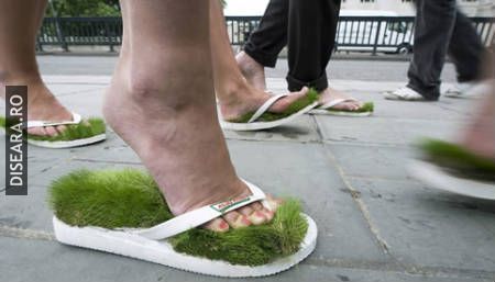 Eco