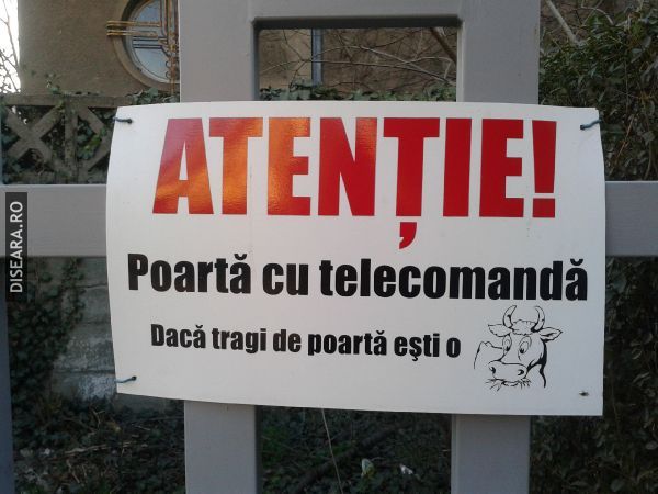 Prin Timisoara...
