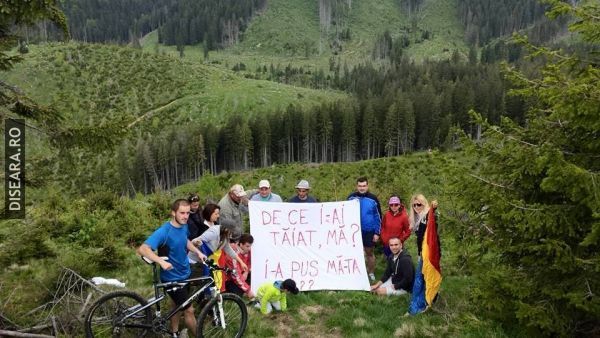 N-au dreptate?