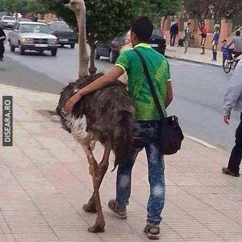 Walking with my honey