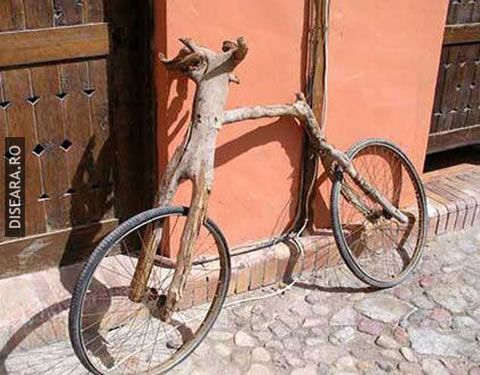 Bio-bicycle