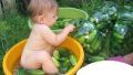 Making pickled cucumbers