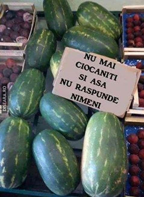 Nu e nimeni acasa