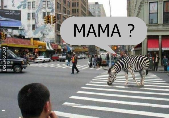 Mama?!