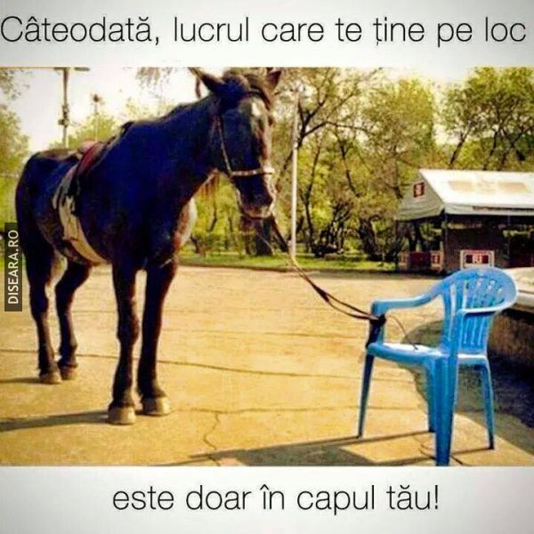 True!