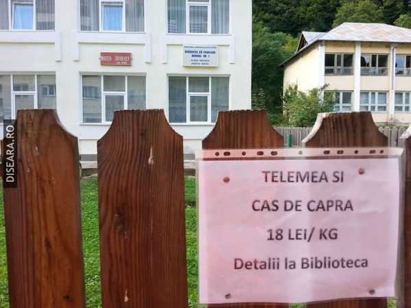 La biblioteca