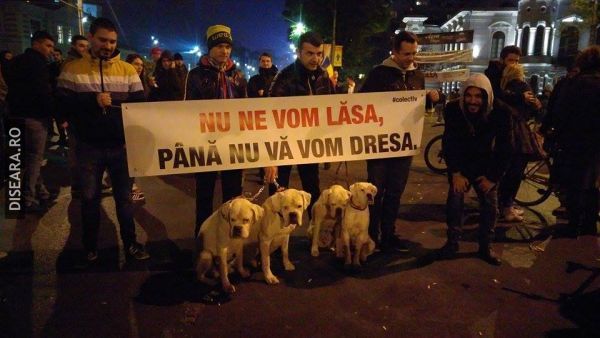 Dresaj