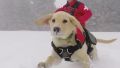 The winter is cooooming!