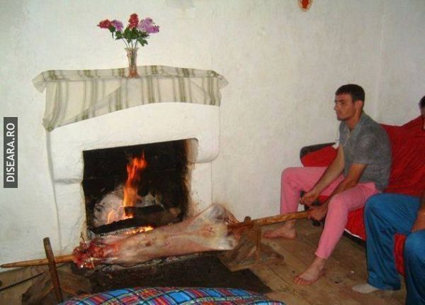 Cu oaia la protap