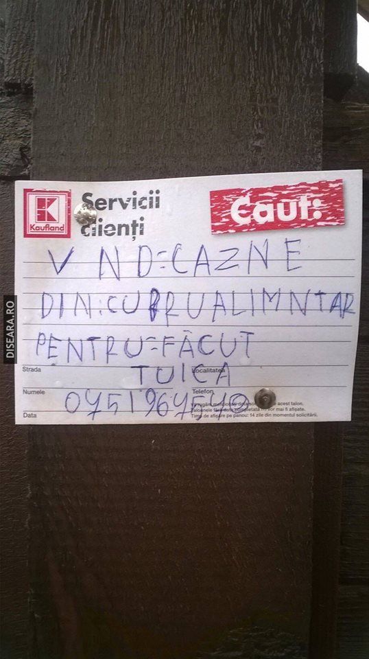 Cazne