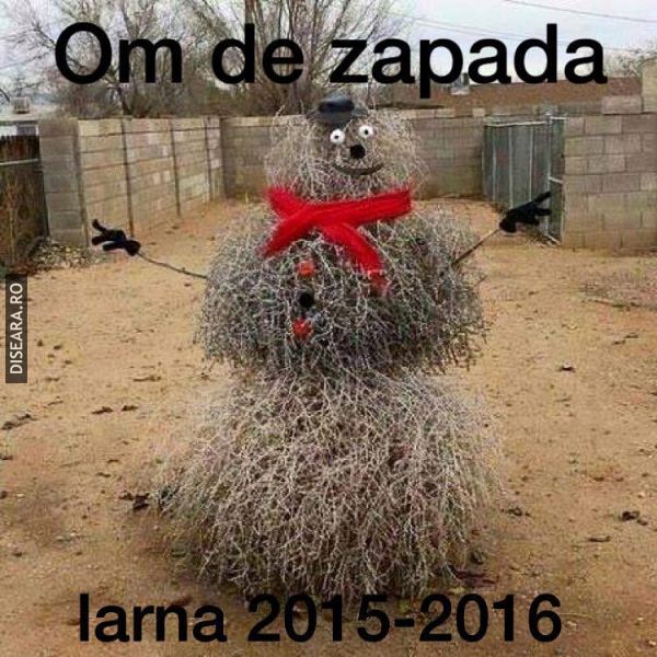 Snowman 2015 - 2016