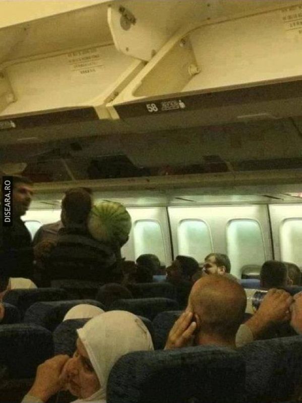 Water melon - hand luggage?