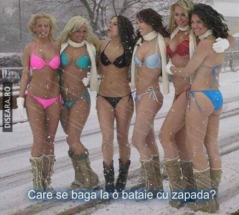 Snow Fight