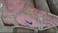 Summer shoes