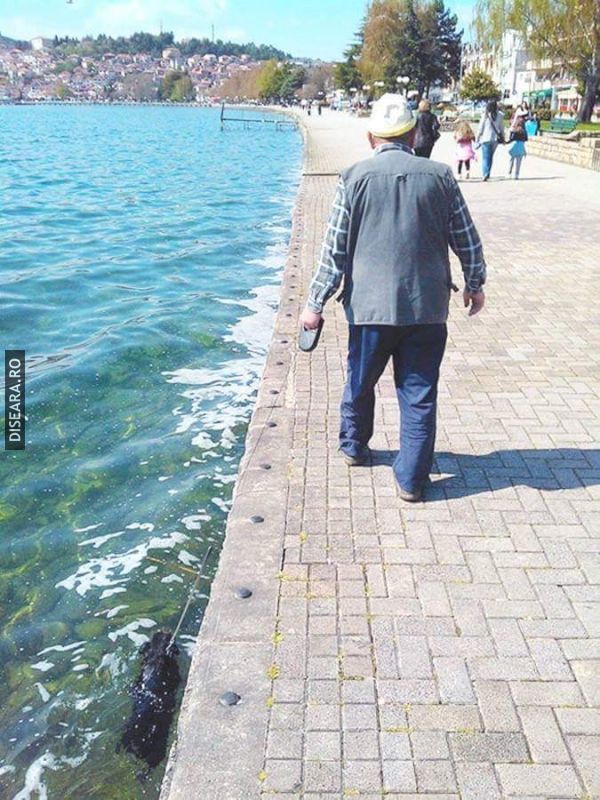 Plimbare