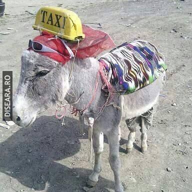 Taxi!