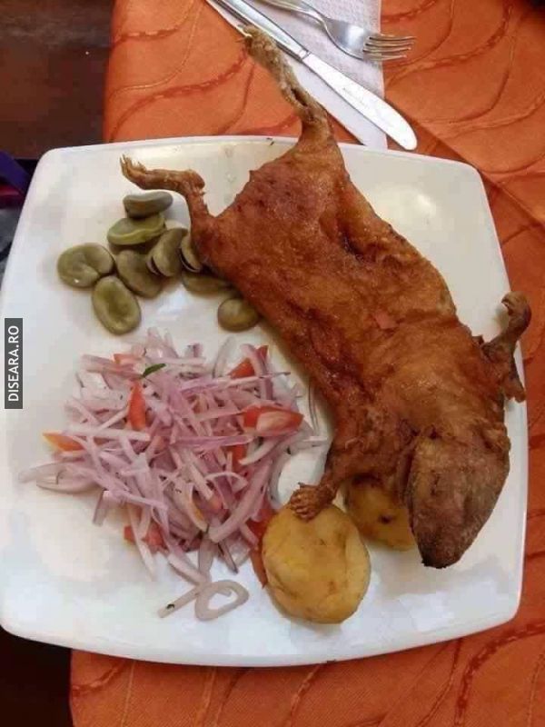 Enjoy your meal!