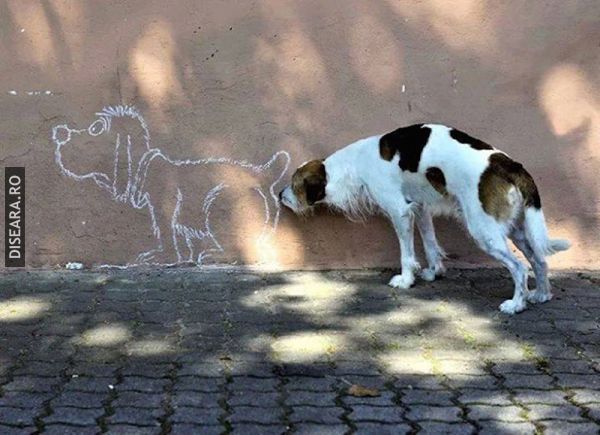 **sniff**sniff**