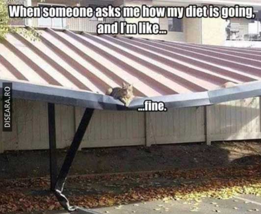Somebody needs a diet...