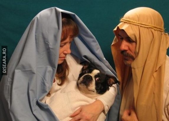 Bible Scene