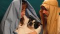 Bible Scene