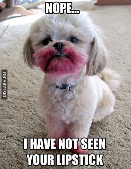 Nope, I have not Seen Your Lipstick!