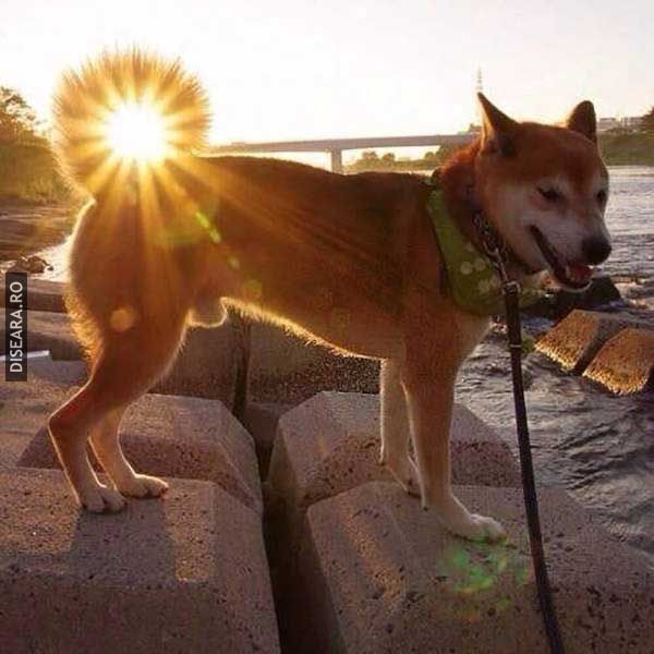 Perfectiune