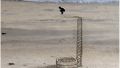 Beach Sand Art Diving Optical Illusion