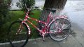 Bicicleta zebră