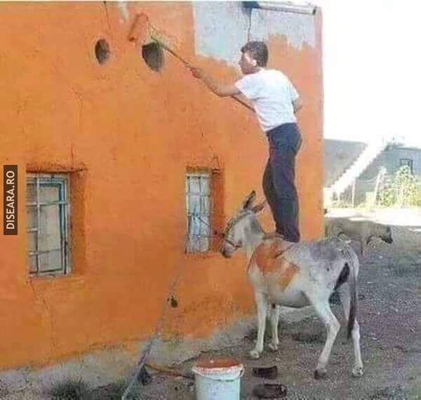 Cleaning the walls