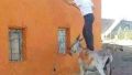 Cleaning the walls