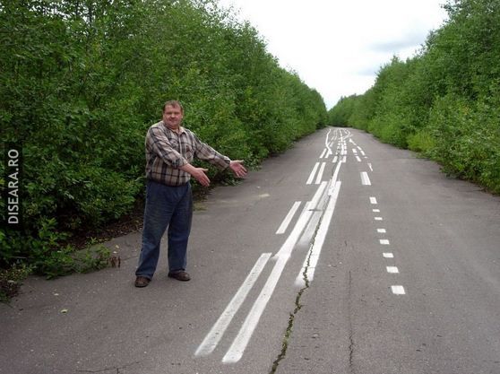 Liniute