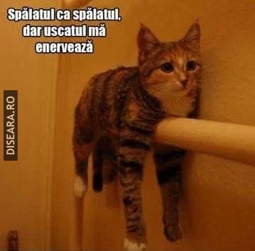 Enervare