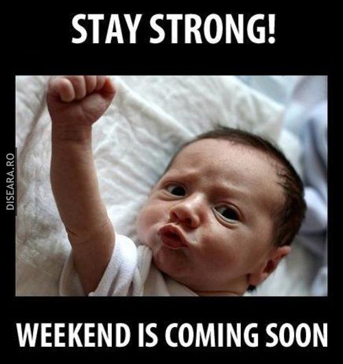 T.G.I.F.