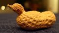 The Duck (4)