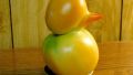 The Duck (6)