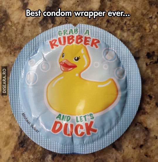 The Duck (10)