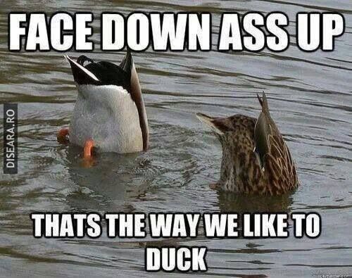 Ducking