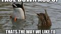 Ducking