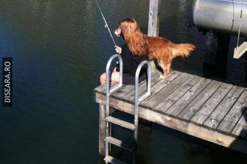 The dog fishes